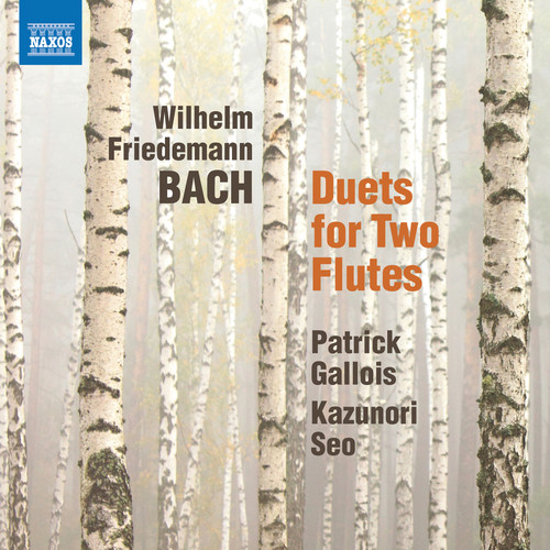 Duets for 2 Flutes