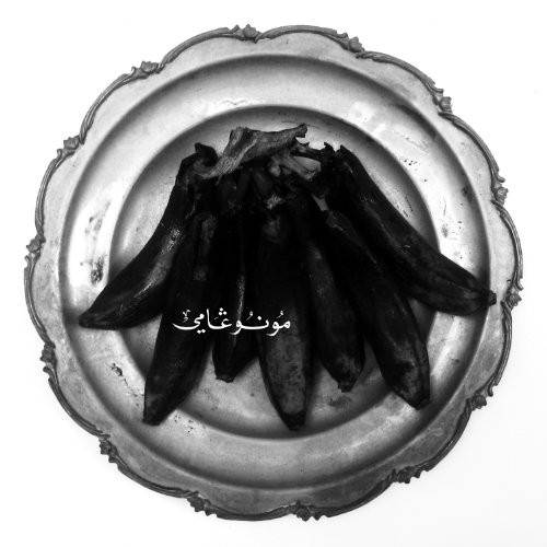 Land Of Kushs Egyptian Light Orchestra - Monogamy
