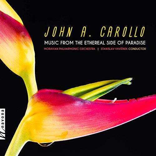 MUSIC FROM THE ETHEREAL SIDE OF PARADISE