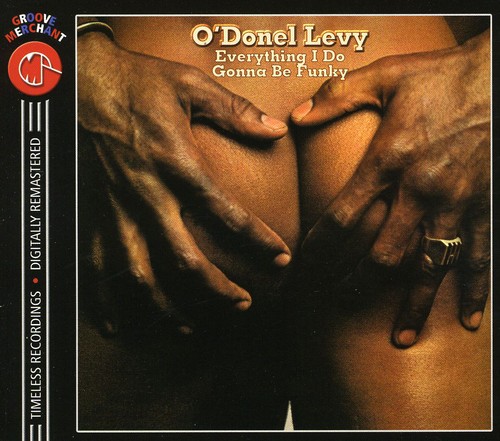 Everything I Do Gonna Be Funky [Import]