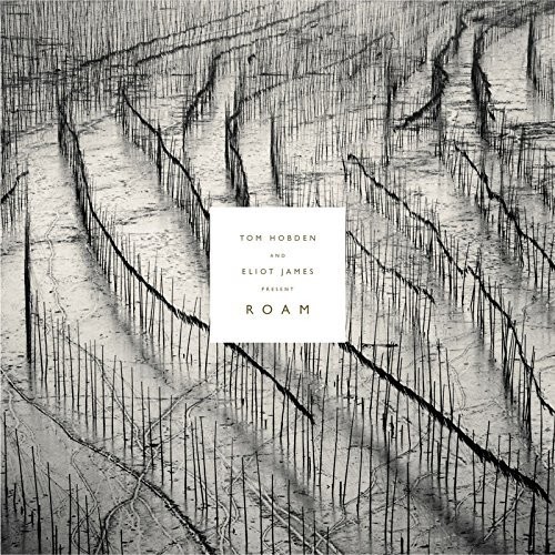 Present: Roam