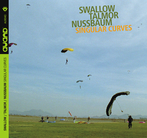 Singular Curves