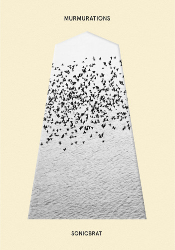 Murmurations