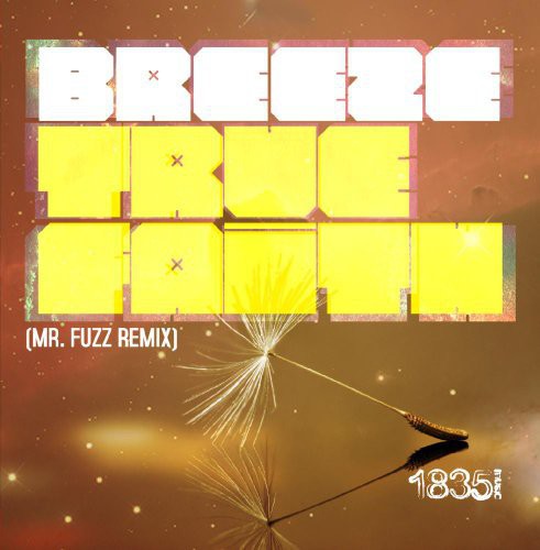 Breeze - True Faith (MR Fuzz Remix)