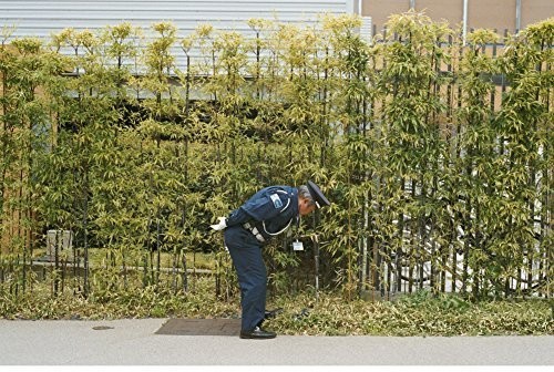 Good Luck & Do Your Best