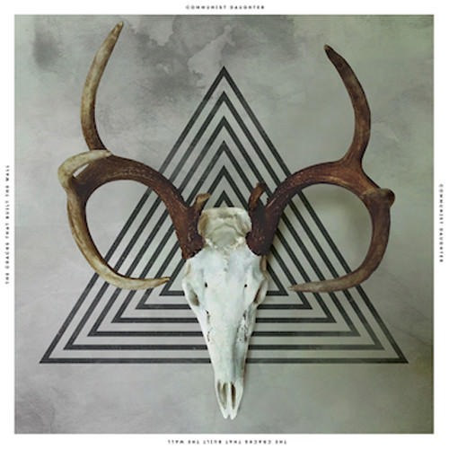 Cracks That Built The Wall