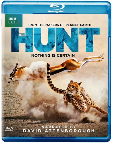 The Hunt