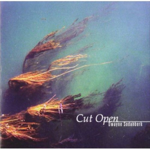 Cut Open
