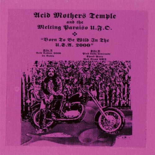 Born to Be Wild in the USA 2000