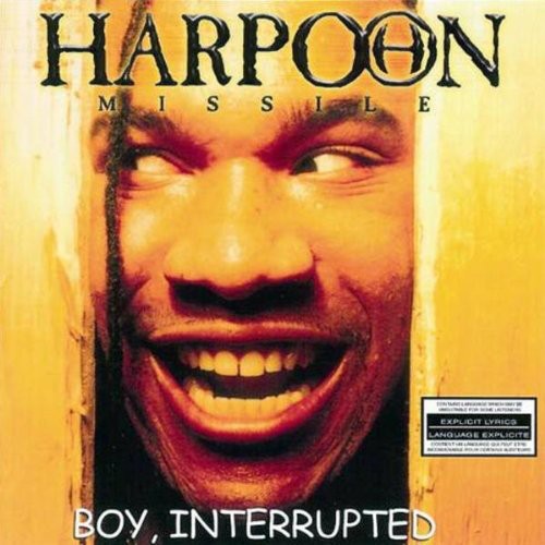 Boy Interrupted
