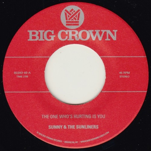 The One Who's Hurting You Is /  Should I Take You Home