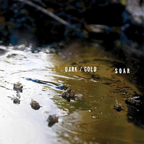 DARK / GOLD