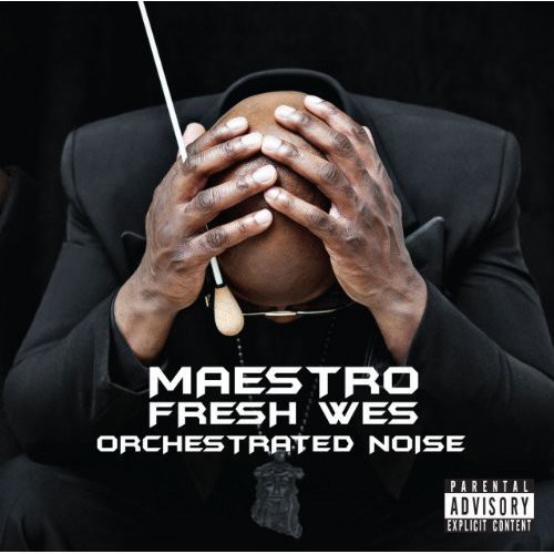 Orchestrated Noise [Import]