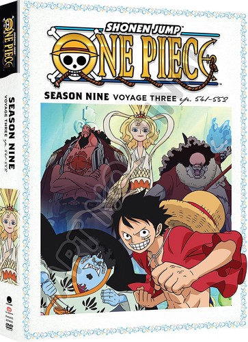 One Piece: Season Nine, Voyage Three