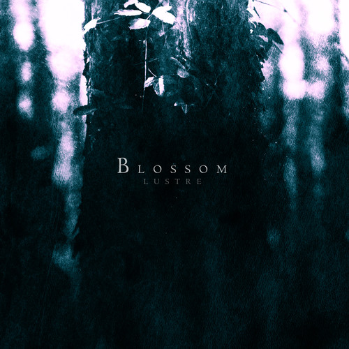 Blossom