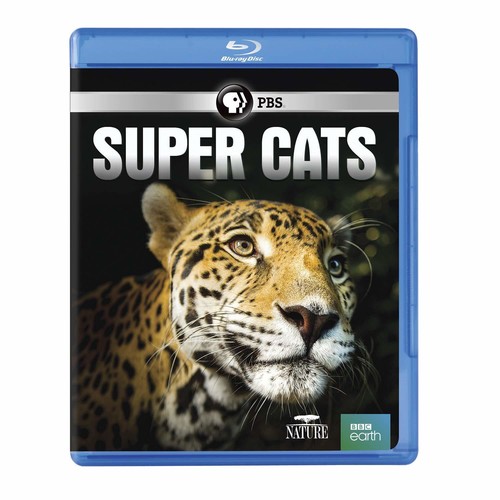 NATURE: Super Cats