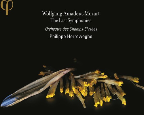 Last Symphonies