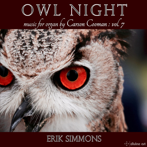 Owl Night