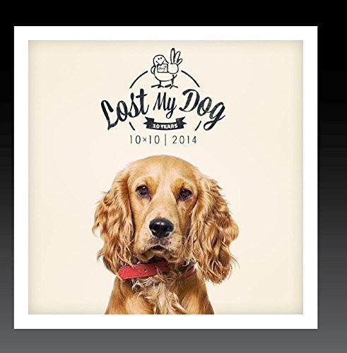 Lost My Dog 10x10 - 2014