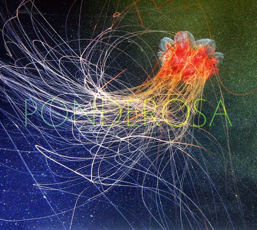 Ponderosa - Pool Party