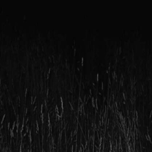 White Nights /  Drone Fields