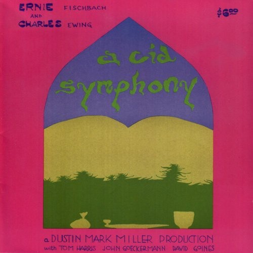 Acid Symphony - A Cid Symphony