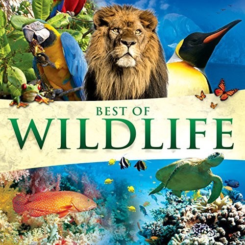 Best Of Wildlife /  Various