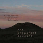 Snowghost Sessions , Wayne Horvitz