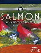 Nature: Salmon , Jay O. Sanders