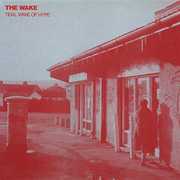 Tidal Wave of Hype , The Wake