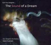 Go: Organic Orchestra - Can You Imagine The Sound Of A Dream , Adam Rudolph