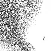 Sky Blue Sky , Wilco