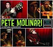 Virtual Landslide , Pete Molinari