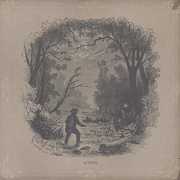 Vetiver , Vetiver