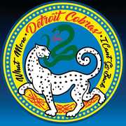 What More / I Can't Go Back , The Detroit Cobras