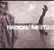 Radical Mestizo , Shooglenifty