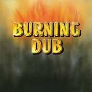 Burning Dub , Revolutionaries