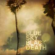 Late Night Cinema , Blue Sky Black Death