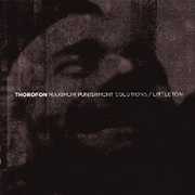 Maximum Punishment Solutions , Thorofon