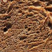 Paninoteca [Import] , Orso