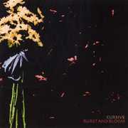 Burst and Bloom , Cursive