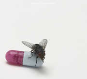 I'm with You , Red Hot Chili Peppers