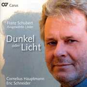 Darkness or Light , Cornelius Hauptmann