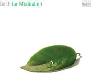 For Meditation , Susan Hammond