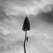 A Black Mile To The Surface , Manchester Orchestra