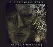 Twelve Atmospheres