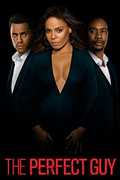 The Perfect Guy , Sanaa Lathan