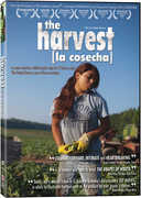 The Harvest