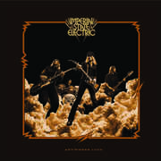 Anywhere Loud , Imperial State Electric