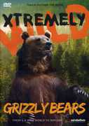 Grizzly Bears 